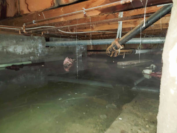 Best 24-hour water damage restoration  in Thorofare, NJ