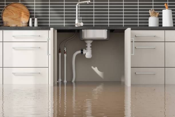Best Ceiling water damage repair  in Thorofare, NJ
