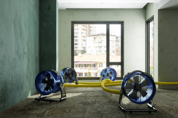 Best Ceiling water damage repair  in Thorofare, NJ