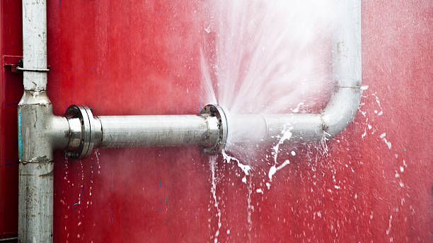Best Professional water damage repair  in Thorofare, NJ