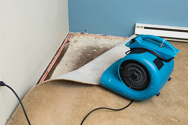 Best Fire Damage Restoration  in Thorofare, NJ